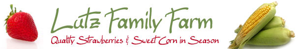 Lutz Family Farm Home
